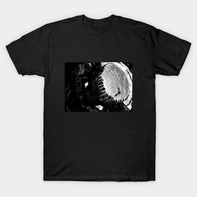 eclipse dragon T-Shirt by theblack futur